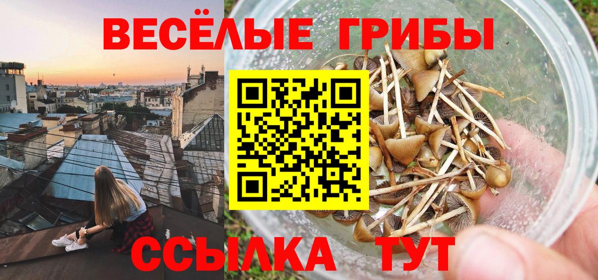 Галлюциногенные грибы Psilocybe  Псилоцибиновые грибы прущие грибы  Вход с VPN  Калач-на-Дону 